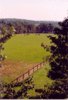 img067.gif