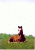 img069.gif
