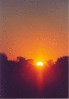 img070.gif