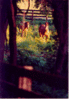 img071.gif